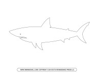 Free Cartoon Shark Clipart Shark Outline And Shark Silhouette