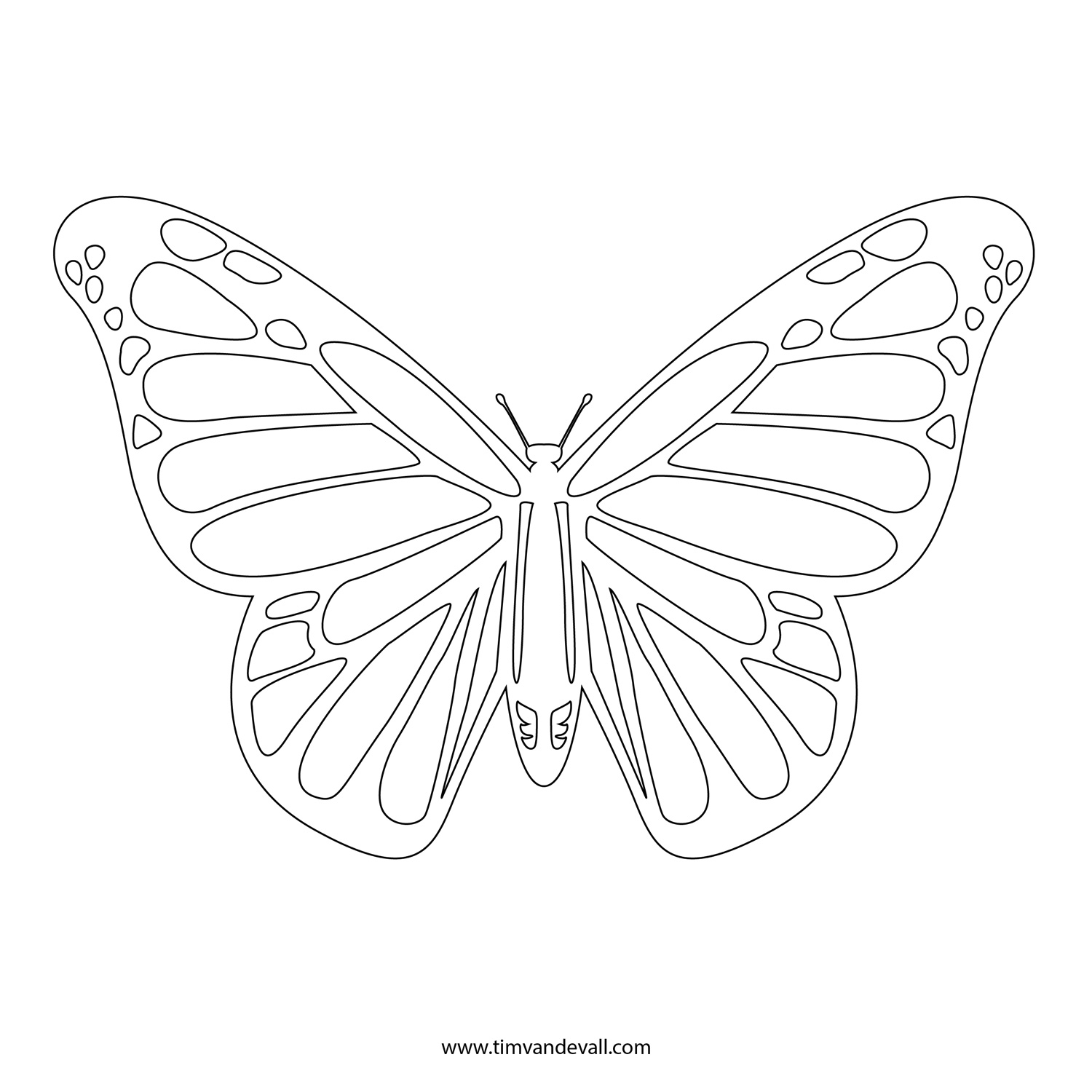 Butterfly Stencil Tim s Printables