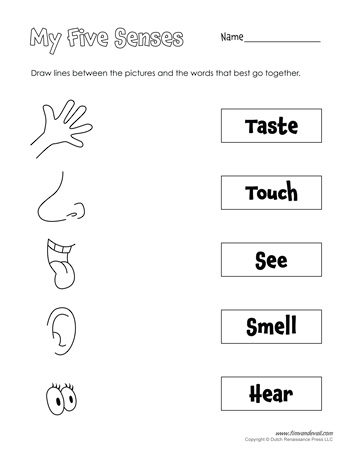 Five Senses Matching Worksheet - Black and White