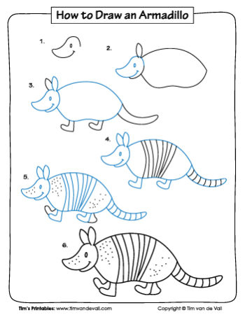 How to Draw an Armadillo