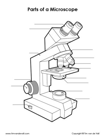 Microscope Diagram Unlabeled-72
