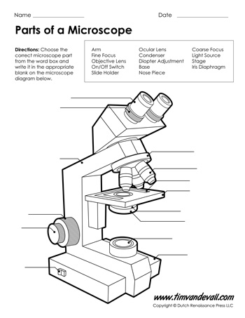 Microscope Worksheet – Tim's Printables
