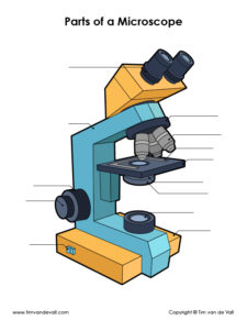 Unlabeled Microscope Image