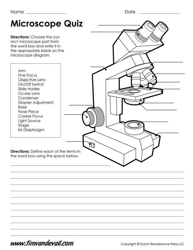Parts of a Microscope Quiz Tim's Printables