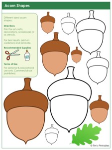Acorn Templates - Tim's Printables