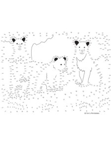 Bear Dot-to-Dot - Tim's Printables