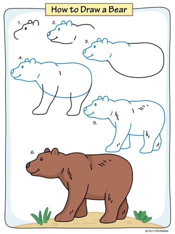 bear-drawing-tutorial