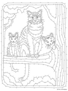 Cat Dot-to-Dot - Tim's Printables