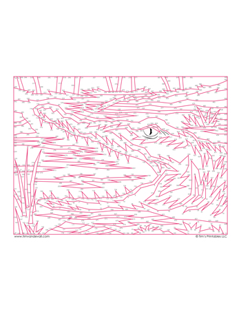 crocodile-dot-to-dot