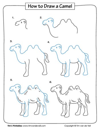 drawing tutorial camel