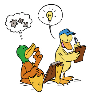 ducks-ideas-300