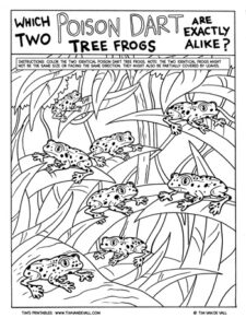 Poison-Dart-Tree-Frog-Activity-350