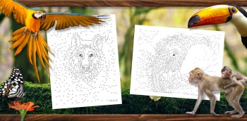 animal dot-to-dots