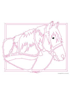 Horse Dot-to-Dot - Tim's Printables