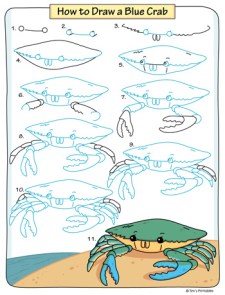 how to draw a blue crab