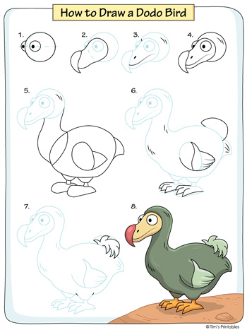 dodo bird drawing tutorial