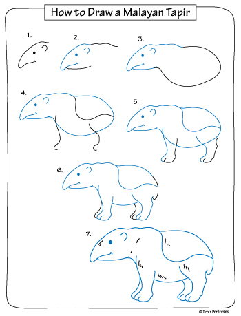 how to draw a malayan tapir black and white