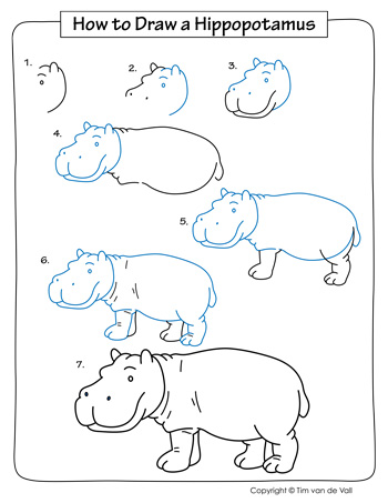 How to Draw Animals Step by Step Rhino Graphic by Creative Dream · Creative  Fabrica