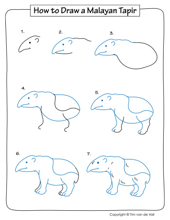 How to Draw Animals PDF - Tim's Printables