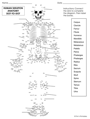 human-skeleton-anatomy-dot-to-dot-1-350