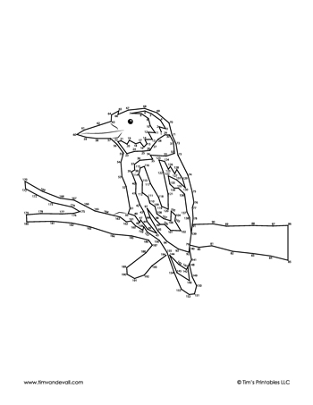 kookaburra-dot-to-dot