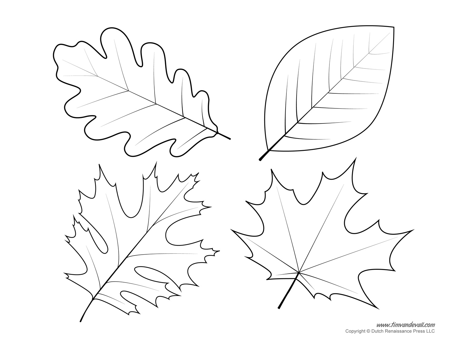 Leaf Templates Leaf Coloring Pages For Kids Leaf Printables Tim s Printables