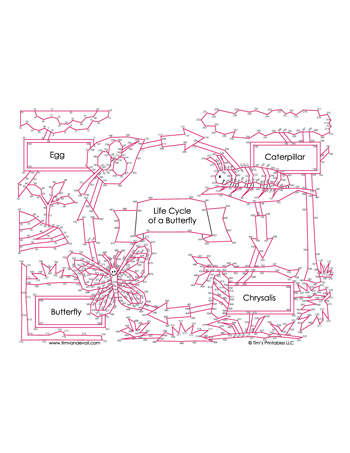 life-cycle-of-a-butterfly-dot-to-dot