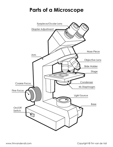 Microscope Diagram – Tim's Printables