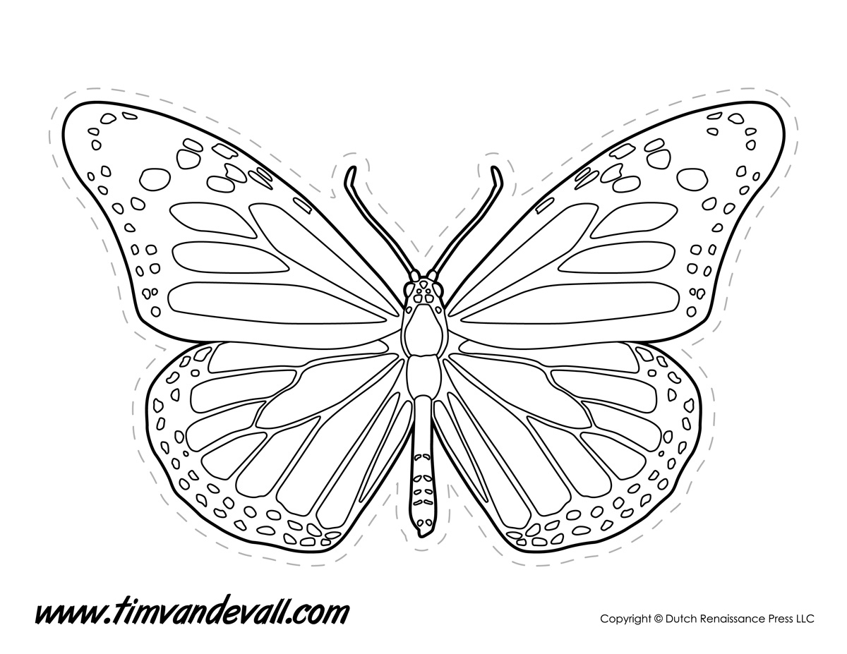 monarch butterfly outline tims printables