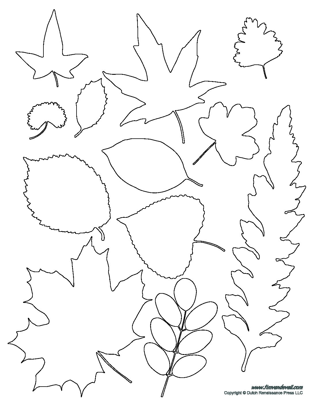 Printable Leaves Template