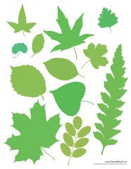 Leaf Templates Tim s Printables