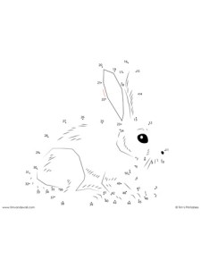 Rabbit Dot-to-Dot - Easy - Tim's Printables