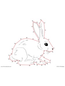 Rabbit Dot-to-Dot - Easy - Tim's Printables