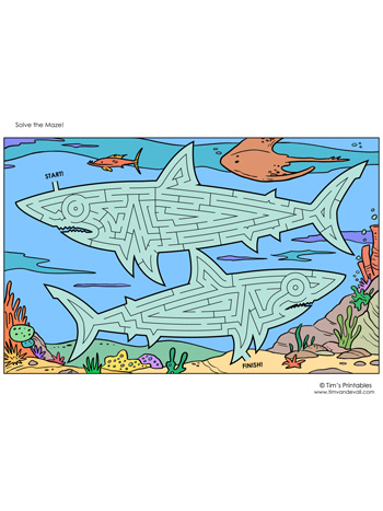 shark-maze-1