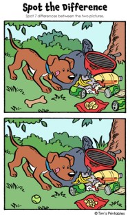 Spot the Difference Vol. 1 - Tim's Printables