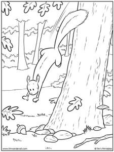 Tim's Printable Squirrel Coloring Page - Tim's Printables