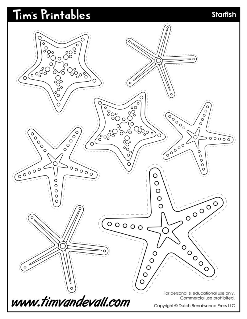 Starfish Template – Tim's Printables
