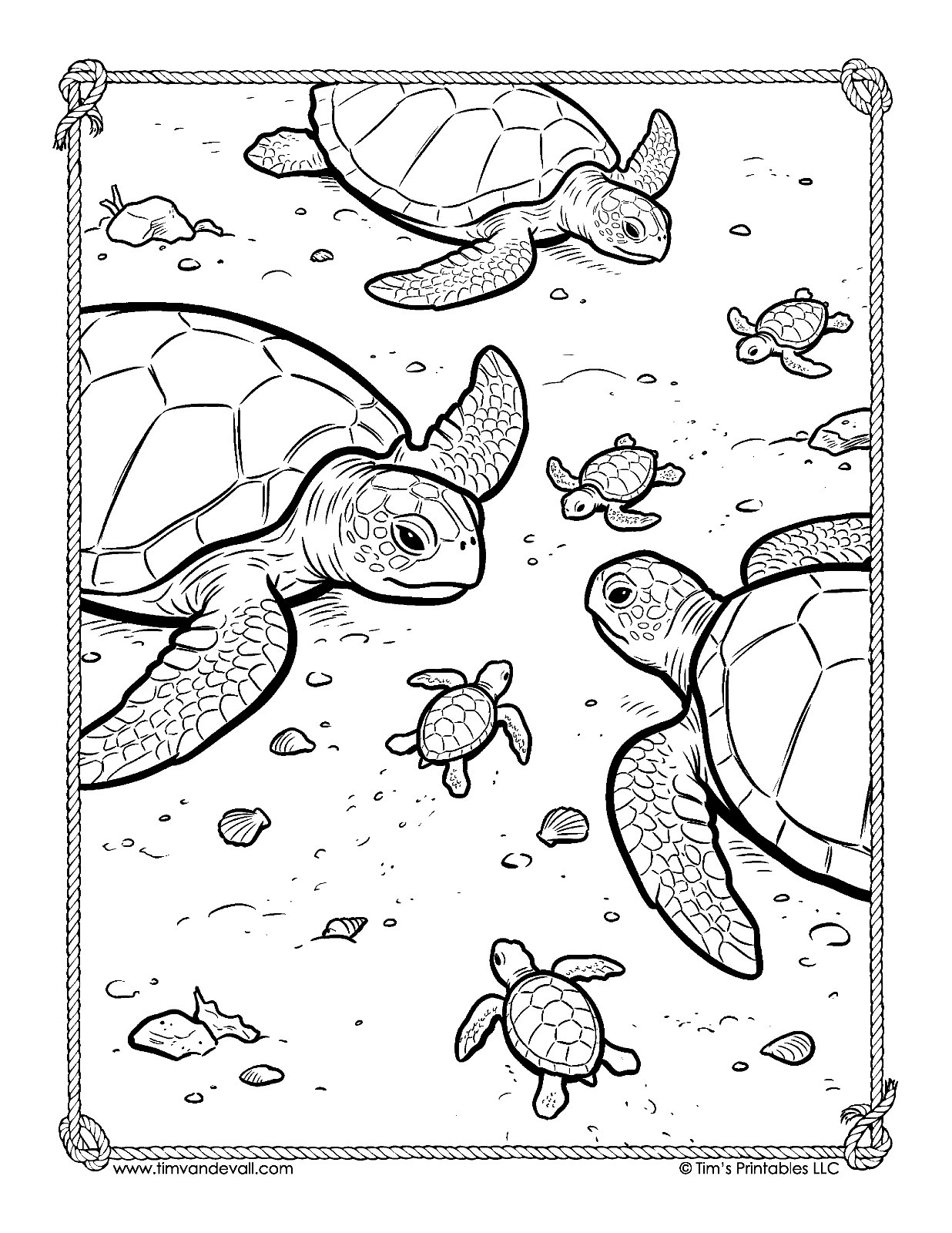 Sea turtles and hatchlings swimming coloring page