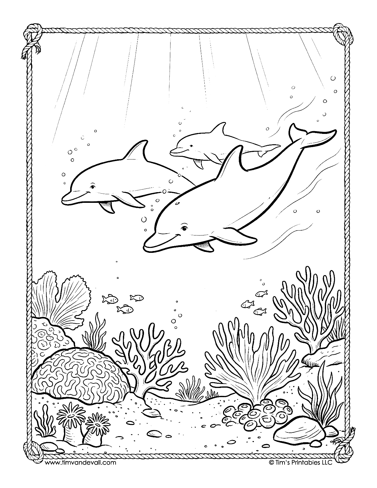 Dolphins swimming over a coral reef coloring page