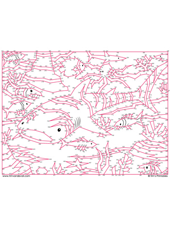 whale shark dot-to-dot / connect the dots answer key, Tim's Printables, Tim van de Vall, www.timvandevall.com