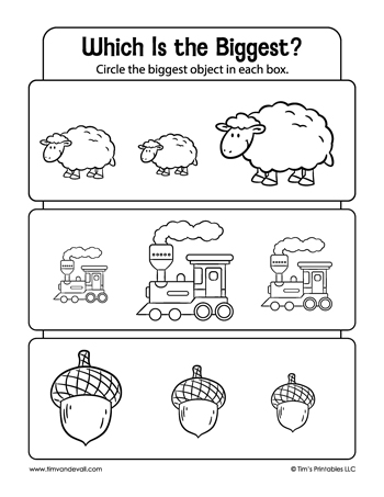 which-is-biggest-worksheet-02-1-350