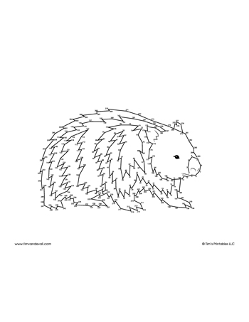 wombat-dot-to-dot